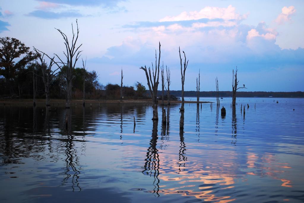 Lake Fork Marina & Motel Gunter Eksteriør billede